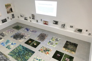 Blick in einen Ausstellungsraum. Auf dem Boden liegen Teppiche mit Gemälden und Fotografien, an der Wand stehen auf Sockeln Fotografien.