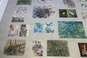 Blick in einen Ausstellungsraum. Auf dem Boden liegen Teppiche mit Gemälden und Fotografien, an der Wand stehen auf Sockeln Fotografien. - Foto: Detlef Podehl